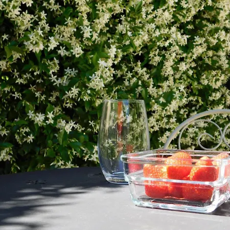 Tea شقة سبليت